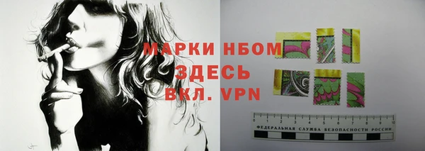 ГАЛЛЮЦИНОГЕННЫЕ ГРИБЫ Покров