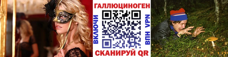 Галлюциногенные грибы Psilocybe  Новодвинск 